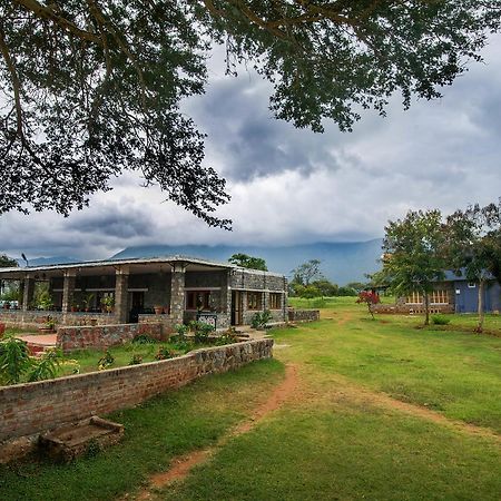 Hôtel Wild Haven à Masinagudi Extérieur photo