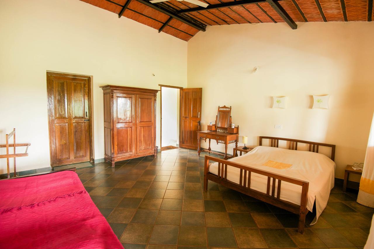 Hôtel Wild Haven à Masinagudi Extérieur photo